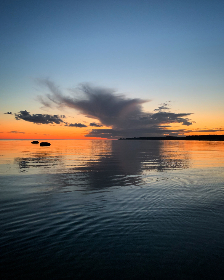 67194免费发布网址