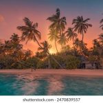 插曲视频30分钟 5kx0r2q0