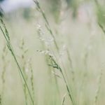 天堂AV无码 h3w55